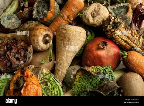 images of rotten fruits and vegetables